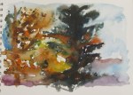 Sunset through trees, Oct. 4, 2011 watercolour on paper