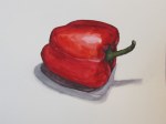 Red pepper, Feb. 12, 2012 watercolour on paper