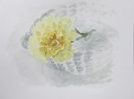 Yellow carnation, Feb. 18, 2012 watercolour on paper