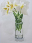 Tulips in the studio, May 13, 2012 watercolour on paper