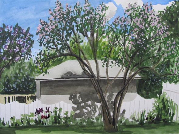 Honeysuckle in Bloom, Jun. 11, 2012 watercolour on paper