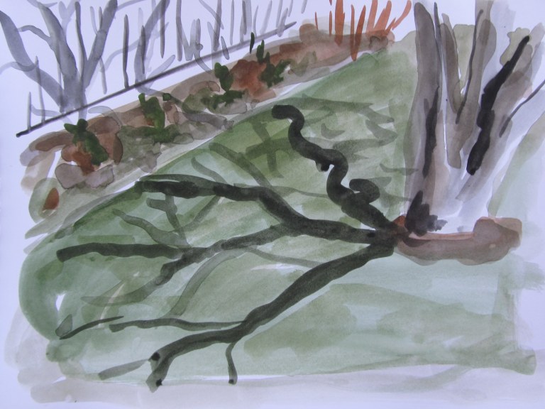 Backyard shadows 1, May 9, 2013, watercolour on paper