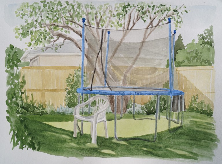 Backyard with Trampoline, Jun. 29, 2017