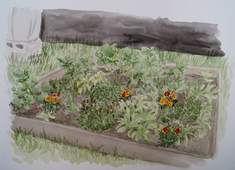 Strawberry Bed, Jun. 25, 2017