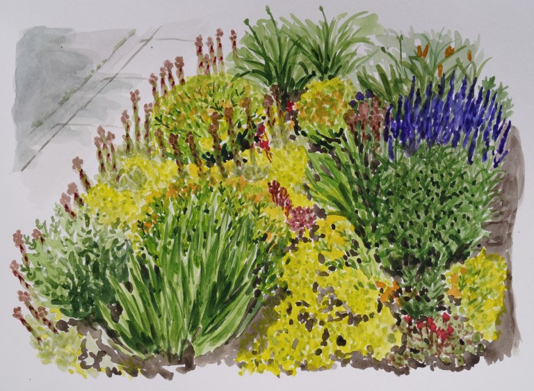 Flowerbed, Jul. 4, 2017