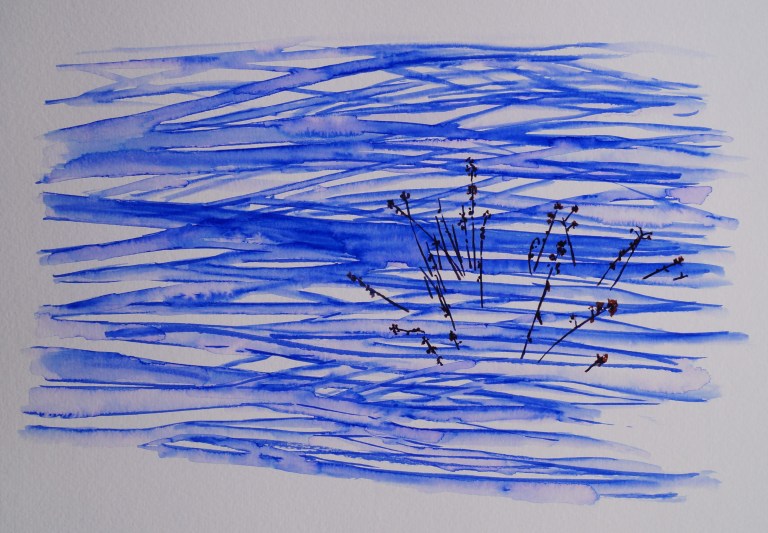 Yard Shadows 1, Feb. 24, 2018, watercolour pens