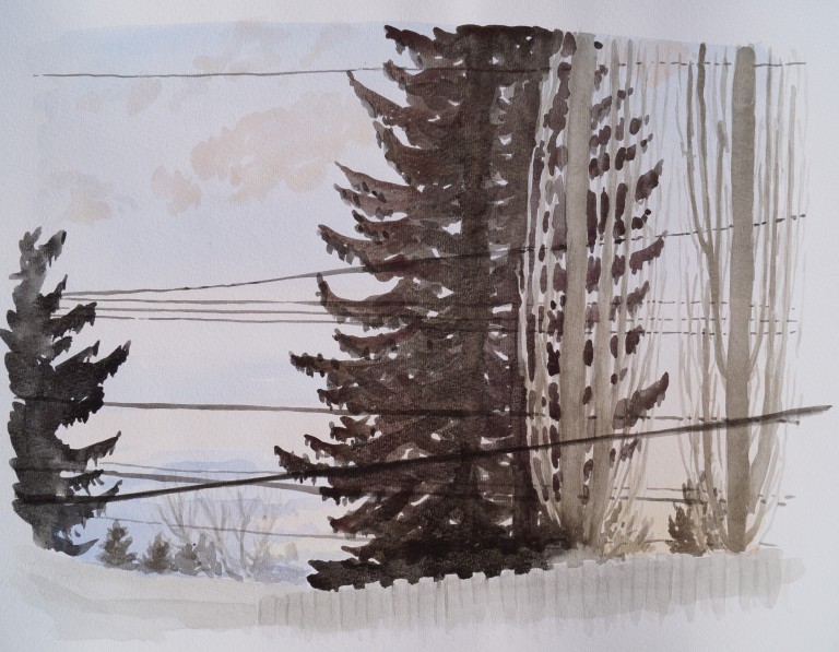Trees and Powerlines, Mar. 29, 2017, watercolour on paper, 11 x 14